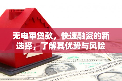 且末无电审贷款，快速融资的新选择，了解其优势与风险