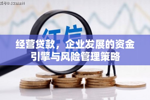 且末经营贷款，企业发展的资金引擎与风险管理策略