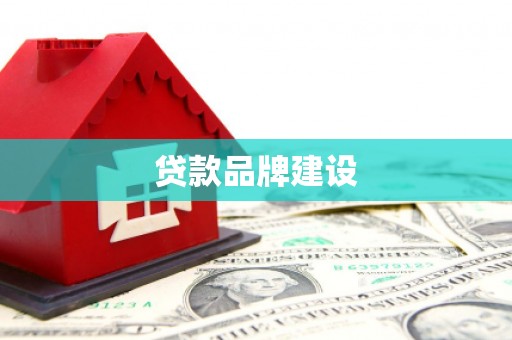 且末贷款品牌建设