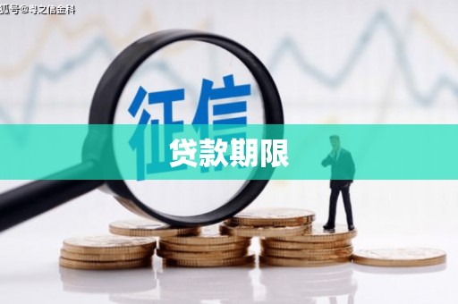 且末贷款期限