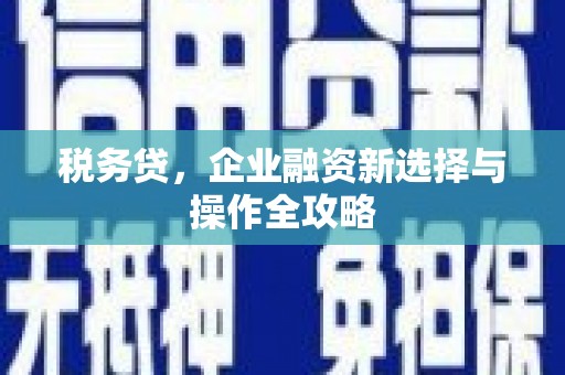 且末税务贷，企业融资新选择与操作全攻略