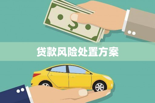 且末贷款风险处置方案