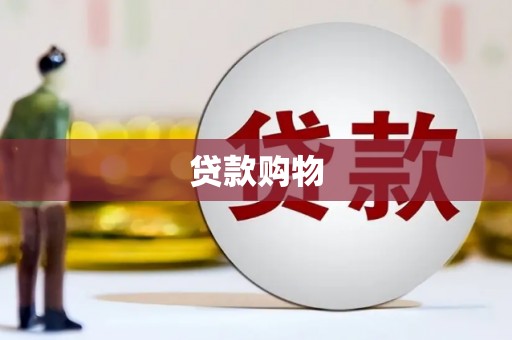 且末贷款购物