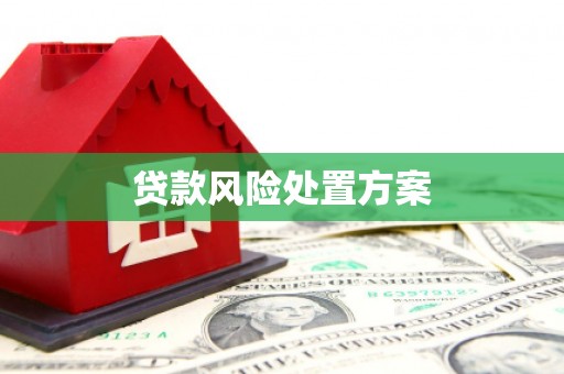 且末贷款风险处置方案