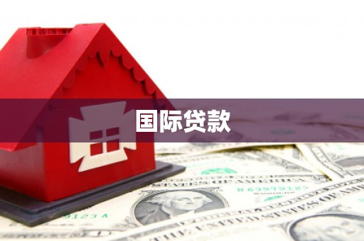且末国际贷款