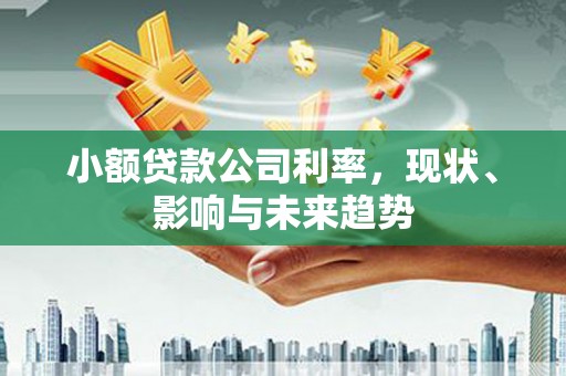 且末小额贷款公司利率，现状、影响与未来趋势