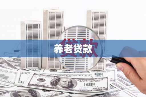 且末养老贷款