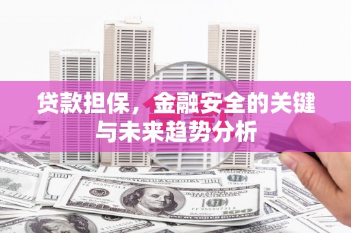 且末贷款担保，金融安全的关键与未来趋势分析