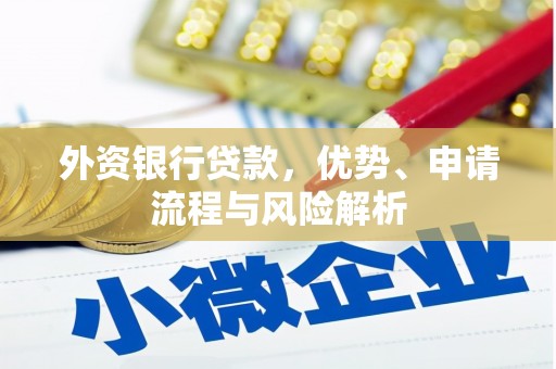 且末外资银行贷款，优势、申请流程与风险解析