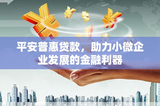 且末平安普惠贷款，助力小微企业发展的金融利器