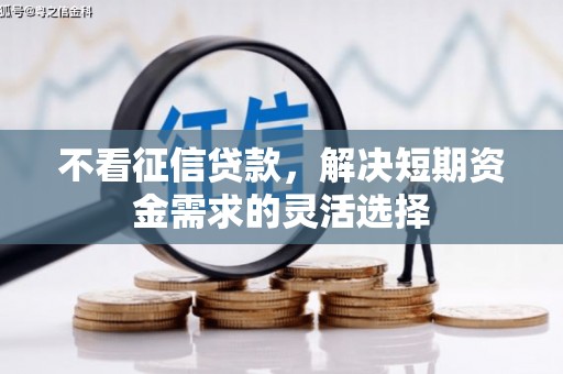 且末不看征信贷款，解决短期资金需求的灵活选择