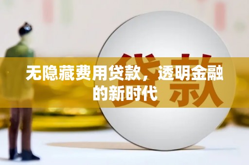 且末无隐藏费用贷款，透明金融的新时代