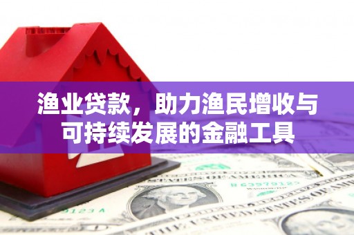 且末渔业贷款，助力渔民增收与可持续发展的金融工具
