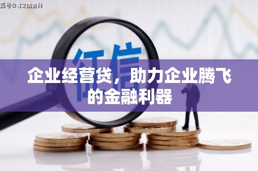且末企业经营贷，助力企业腾飞的金融利器