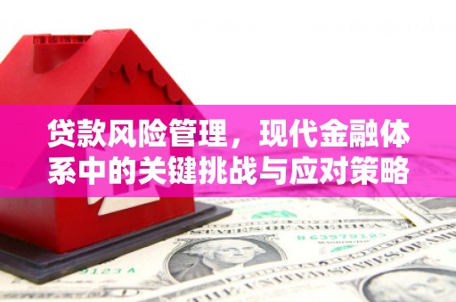 且末贷款风险管理，现代金融体系中的关键挑战与应对策略