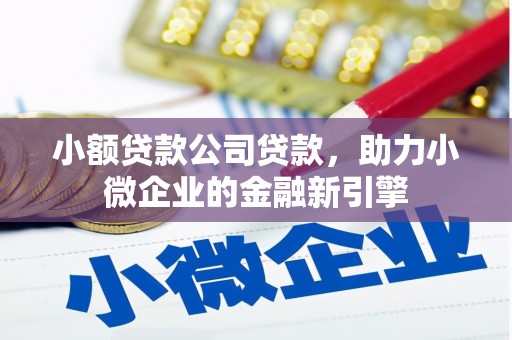 且末小额贷款公司贷款，助力小微企业的金融新引擎
