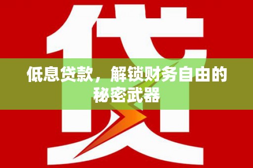 且末低息贷款，解锁财务自由的秘密武器