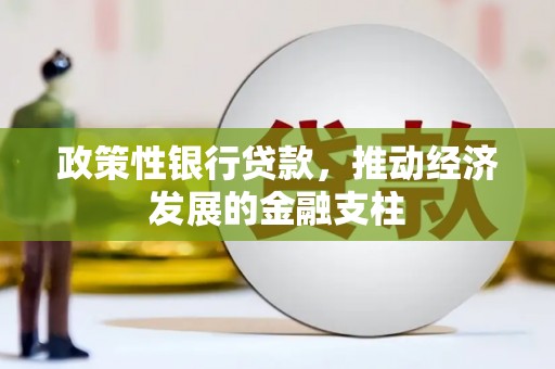 且末政策性银行贷款，推动经济发展的金融支柱