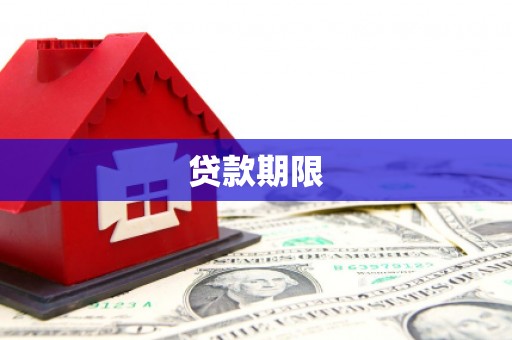 且末贷款期限