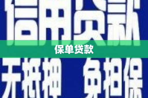 且末保单贷款