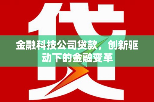 且末金融科技公司贷款，创新驱动下的金融变革