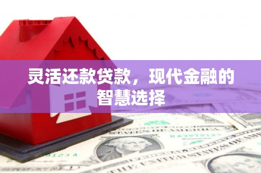 且末灵活还款贷款，现代金融的智慧选择