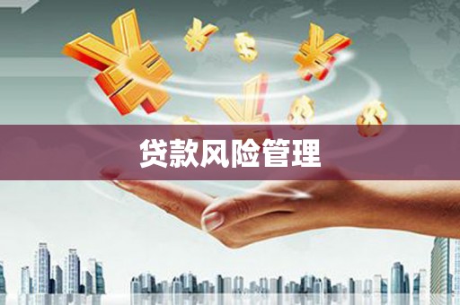 且末贷款风险管理