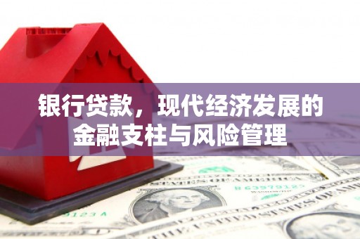 且末银行贷款，现代经济发展的金融支柱与风险管理