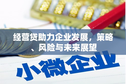 且末经营贷助力企业发展，策略、风险与未来展望