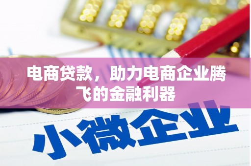 且末电商贷款，助力电商企业腾飞的金融利器