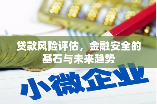 且末贷款风险评估，金融安全的基石与未来趋势