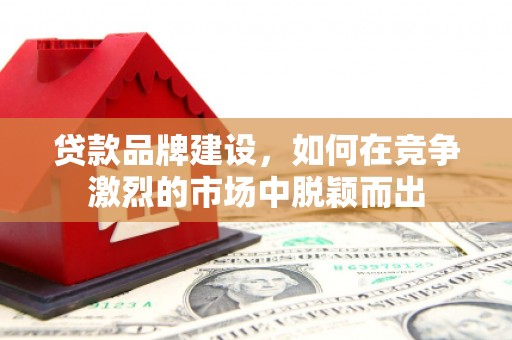 且末贷款品牌建设，如何在竞争激烈的市场中脱颖而出