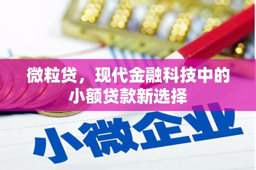 且末微粒贷，现代金融科技中的小额贷款新选择