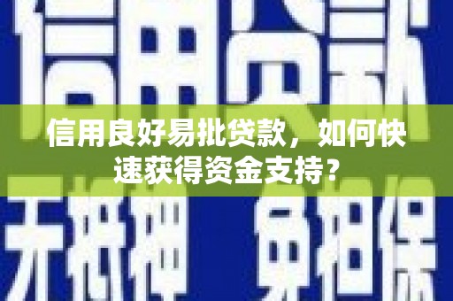 且末信用良好易批贷款，如何快速获得资金支持？