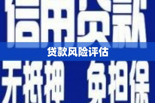 且末贷款风险评估