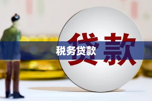 且末税务贷款