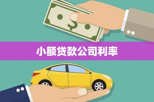 且末小额贷款公司利率
