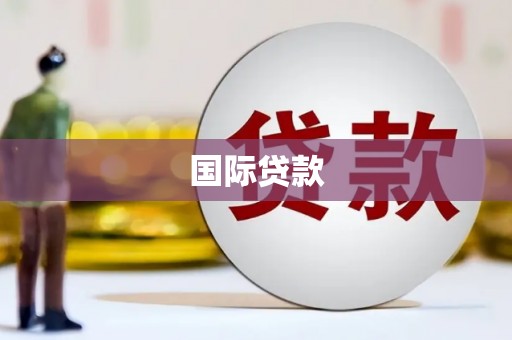 且末国际贷款
