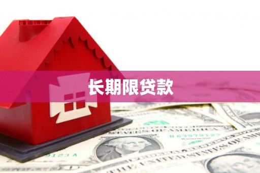 且末长期限贷款