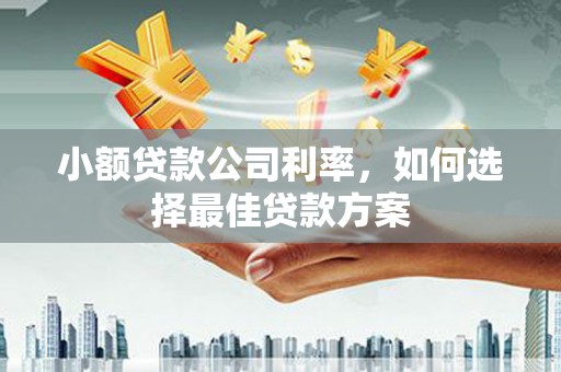 且末小额贷款公司利率，如何选择最佳贷款方案
