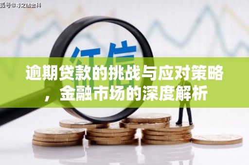 且末逾期贷款的挑战与应对策略，金融市场的深度解析