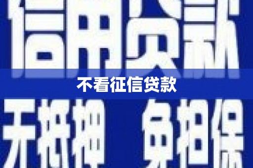 且末不看征信贷款