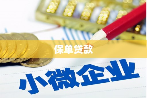且末保单贷款