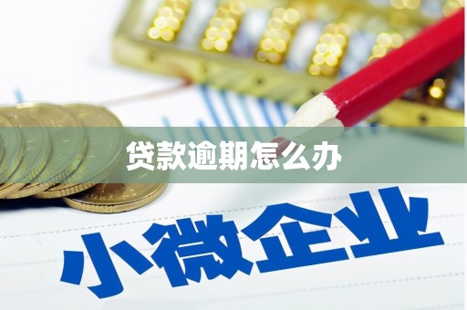 且末贷款逾期怎么办