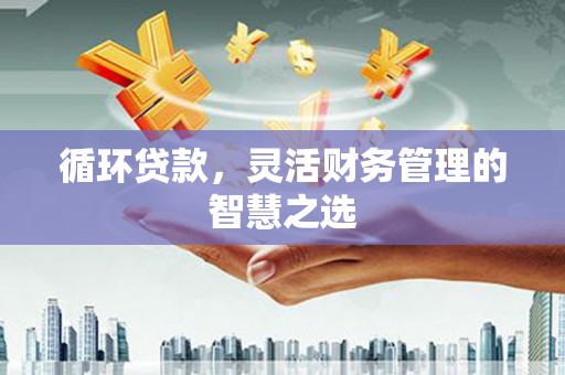 且末循环贷款，灵活财务管理的智慧之选