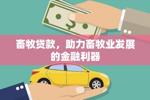 且末畜牧贷款，助力畜牧业发展的金融利器