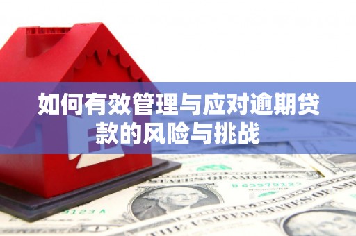 且末如何有效管理与应对逾期贷款的风险与挑战