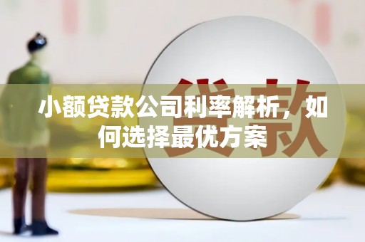 且末小额贷款公司利率解析，如何选择最优方案