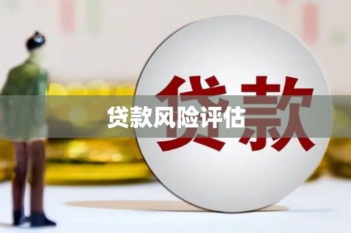 且末贷款风险评估