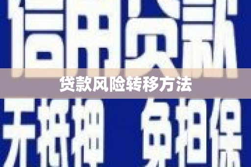 且末贷款风险转移方法 且末贷款风险转移方法